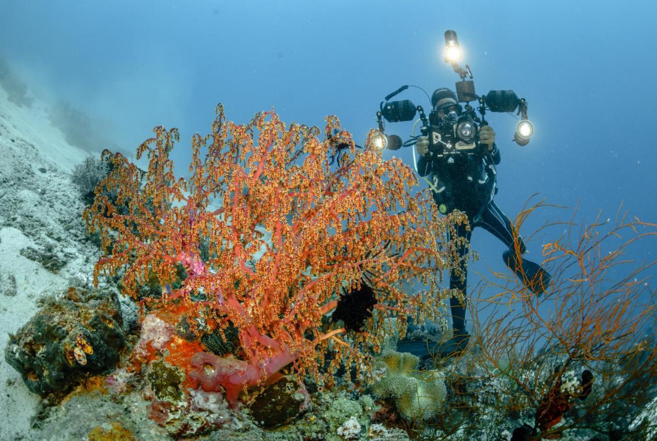 The Three P Beach Resort & Dive Center Agnay Exterior foto